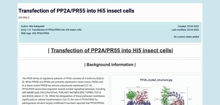 Preview feature available for new PDF export Beta version